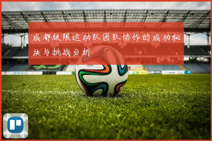 成都极限运动队团队协作的成功秘诀与挑战分析
