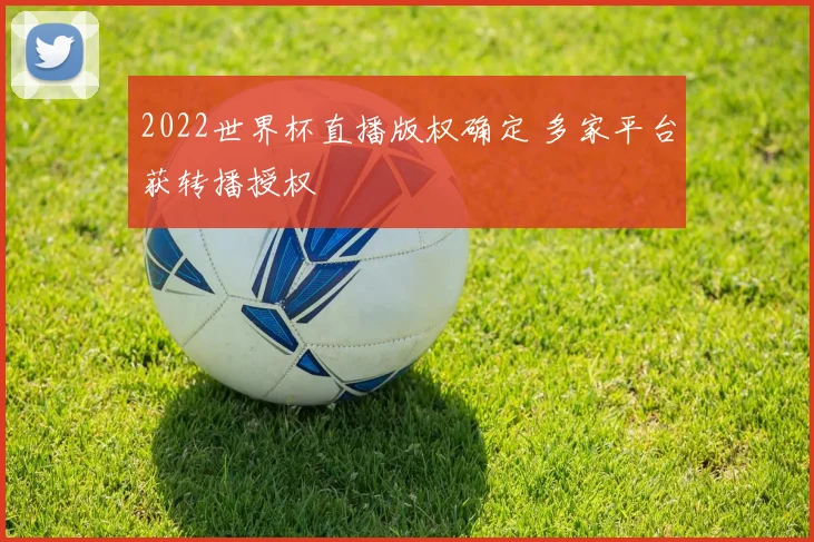 2022世界杯直播版权确定 多家平台获转播授权