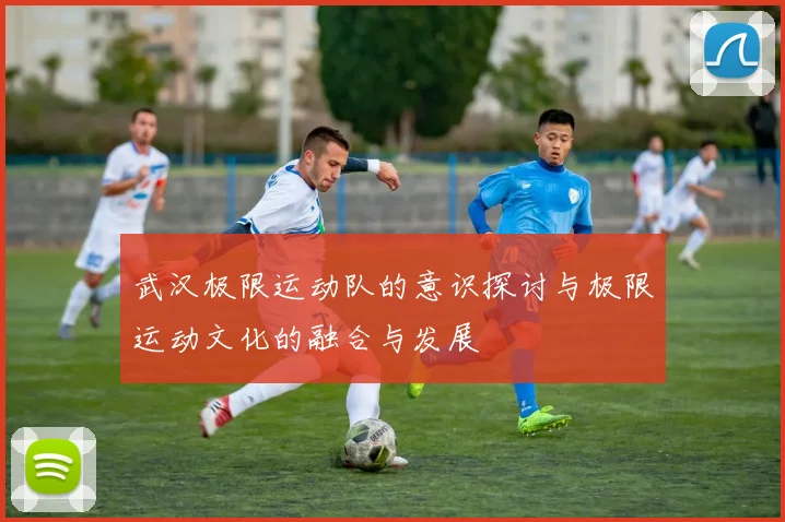 武汉极限运动队的意识探讨与极限运动文化的融合与发展